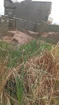 الخالص الشرقيه • ٣٠٠م • تابو زراعي