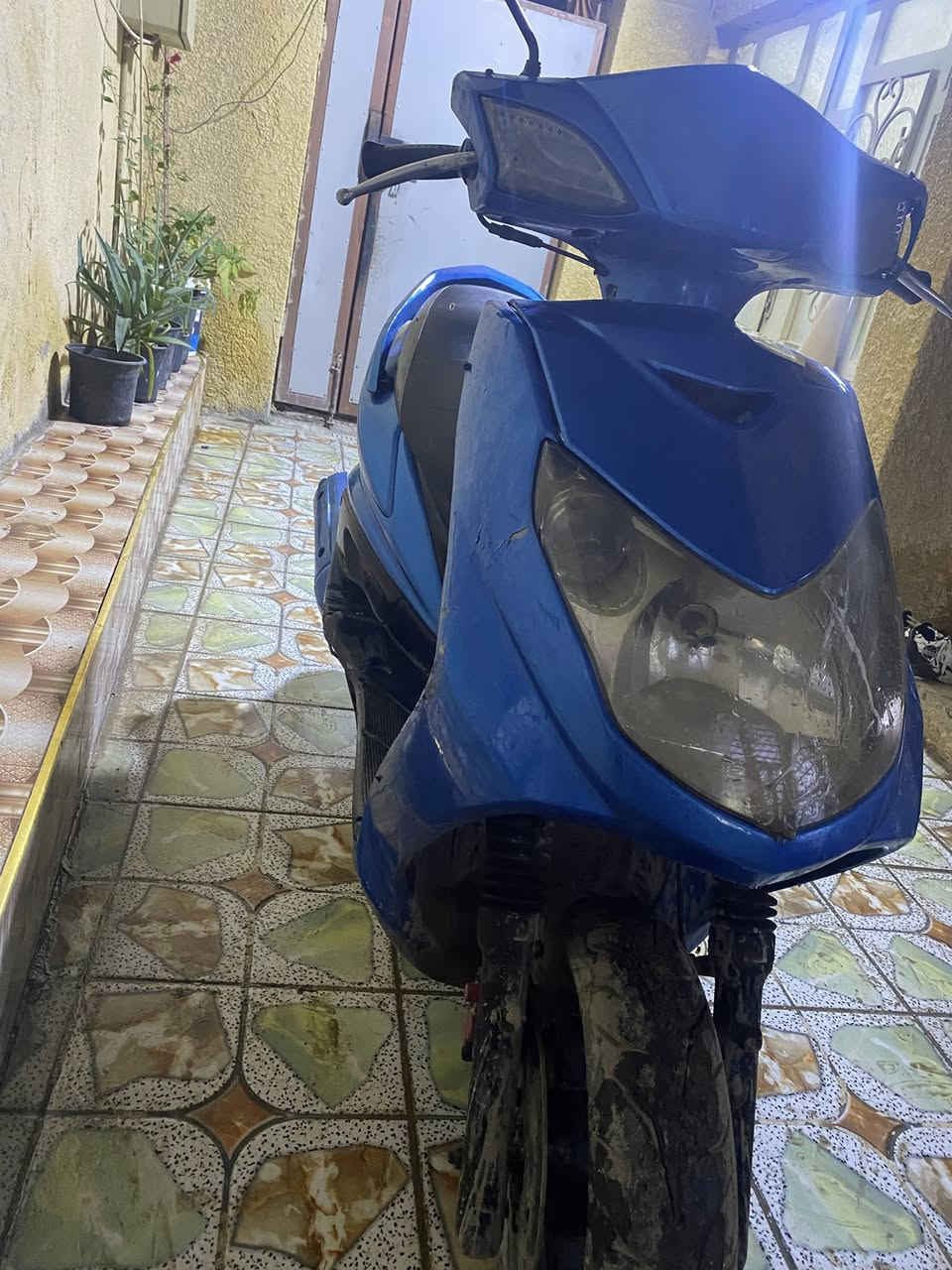 سلام عليكم شباب دراجه سكنز فحل كابريتر للبيع بوشه 58شلعه معدل تشك الكاع مكينه خير من الله لا تبخير ولا نضوح تجي وتفحص بعينك ترايها للبصره سعره450وبيه مجال للطيبين مكاني بغداد الغزاليه متواجد 24ساعه وذا مو شراي لا تعبني تحياتي للطيبين ❤️


**إذا كنت صاحب هذا الإعلان وتريد حذفه لأي سبب، رجاءا أرسل رسالة إلى الدعم الفني**