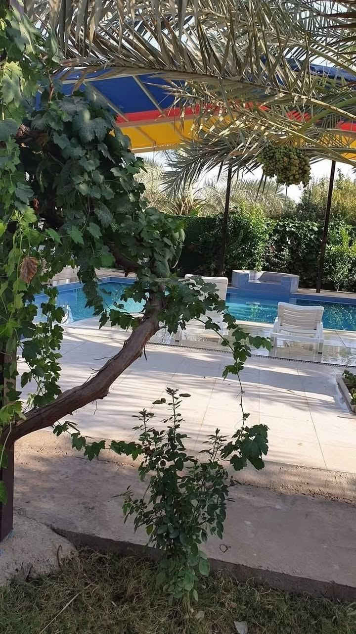الايام المتوفره لشهر 6  🍎🍇🍏

الاثنين 6/1 متوفر شفتين
الثلاثاء 6/2 متوفر شفت مسائي
الاربعاء 6/3 متوفر شفتين
الجمعه 6/5 موفر شفت مسائي 
السبت 6/6 متوفر شفت مسائي 
الاحد 6/7 متوفر شفتين
الاثنين 6/8 متوفر شفتين
الثلاثاء 6/9 متوفر شفتين
الاربعاء 6/10 متوفر شفتين
الجمعه 6/12 متوفر شفت مسائي 
السبت 6/13 متوفر شفتين
الجمعه 6/12 متوفر شفت مسائي
الاحد 6/14 متوفر شفتين 
الاثنين 6/15 متوفر شفتين 
الثلاثاء 6/16 متوفر شفتين 
الاربعاء 6/17 متوفر شفتين 
الخميس 6/18 متوفر شفت نهاري
الجمعه 6/19 متوفر شفت مسائي 
السبت 6/27 متوفر شفتين
الاحد 6/28 متوفر شفتين 
الاثنين 6/29 متوفر شفتين 
الثلاثاء 6/30 متوفر شفتين 

اوقات الشفتات
النهاري من 10 الصبح الى الساعه 6 المغرب
المسائي من 8 مساءا الى 8 صباحا
موقعنا بلد


**إذا كنت صاحب هذا الإعلان وتريد حذفه لأي سبب، رجاءا أرسل رسالة إلى الدعم الفني**