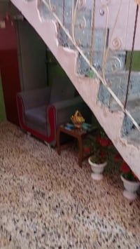 تخم كلش قويه ونظيف كلش اي ضرر مابيه  07762060358