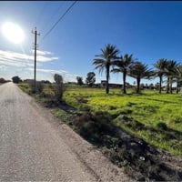 دونم للبيع في الجعارة طابو زراعي سند 25 السعر 135 مليون غير قابل للتفا...