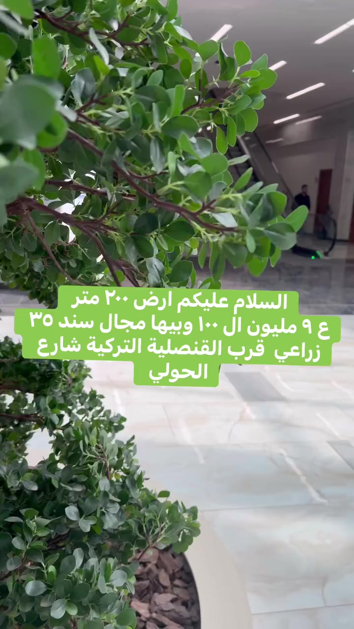 السلام عليكم ارض ٢٠٠ متر
ع ٩ مليون ال ١٠٠ وبيها مجال سند ٣٥ زراعي  قرب القنصلية التركية شارع الحولي


**إذا كنت صاحب هذا الإعلان وتريد حذفه لأي سبب، رجاءا أرسل رسالة إلى الدعم الفني**