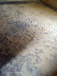 يالله الي يحتاج قفاز يتص على 07817145364