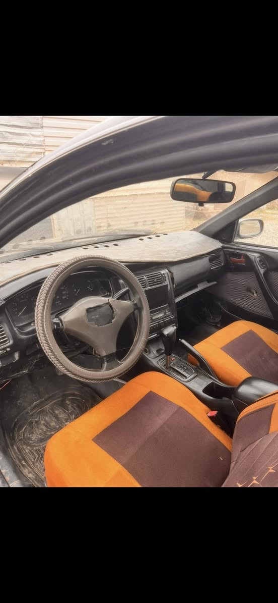 كورلا فرخ بطه
رقم نينوئ 
مصبوغه عام جمالية
السعر ٢٥
***********
***********
