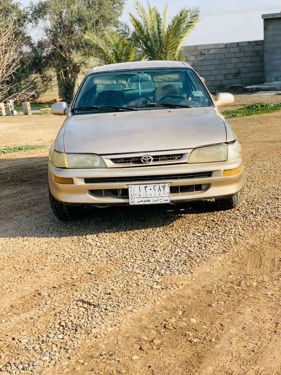 كورله 92 صلاح الدين مشروع وطني كير محرك شرط مصبوغه جماليه  السعر 45 بيهه مجال مكان الحويجه ***********
