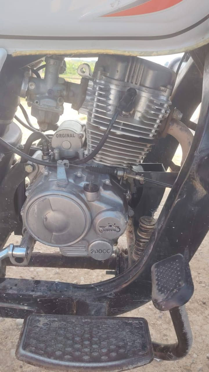 السلام عليكم اللبيع ستوته 2023 منفيس السعر 10ورقات مكان اربيل بيرداوود ملاحضه انا مكلف بل نشر هاذ رقم صاحبها *********** واتساب وتصال
