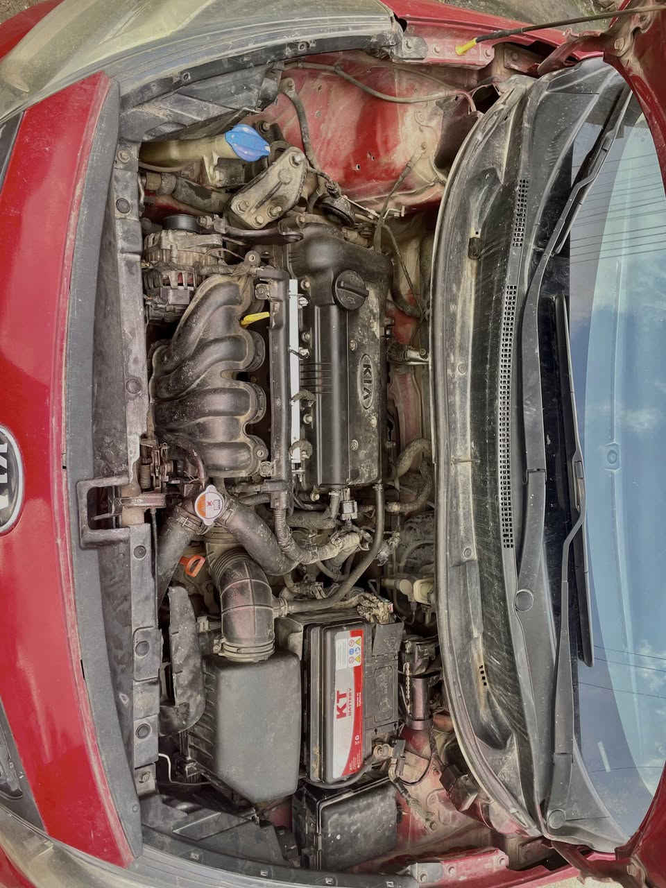 🔻ريو موديل 2012 وارد خليجي محرك  16 دوش  كير 🔻توماتيك وعادي  ضرر بيها بارد شبر بجاملغ السايق 🔻الامامي  صبغ بوند سبب جراد بدون ضربه او تبديل  وبيها 🔻ربع باب النفر بارد #السعر_85وبيهامجال شاري اتصل على الرقم ***********مندوب الثقه بادارت ابو محمود بيع سريع عندك سياره تريد اعرضها  ارسل صور السياره وتفاصيل على الواتساب رقم موبايل ***********موصل الايسر
