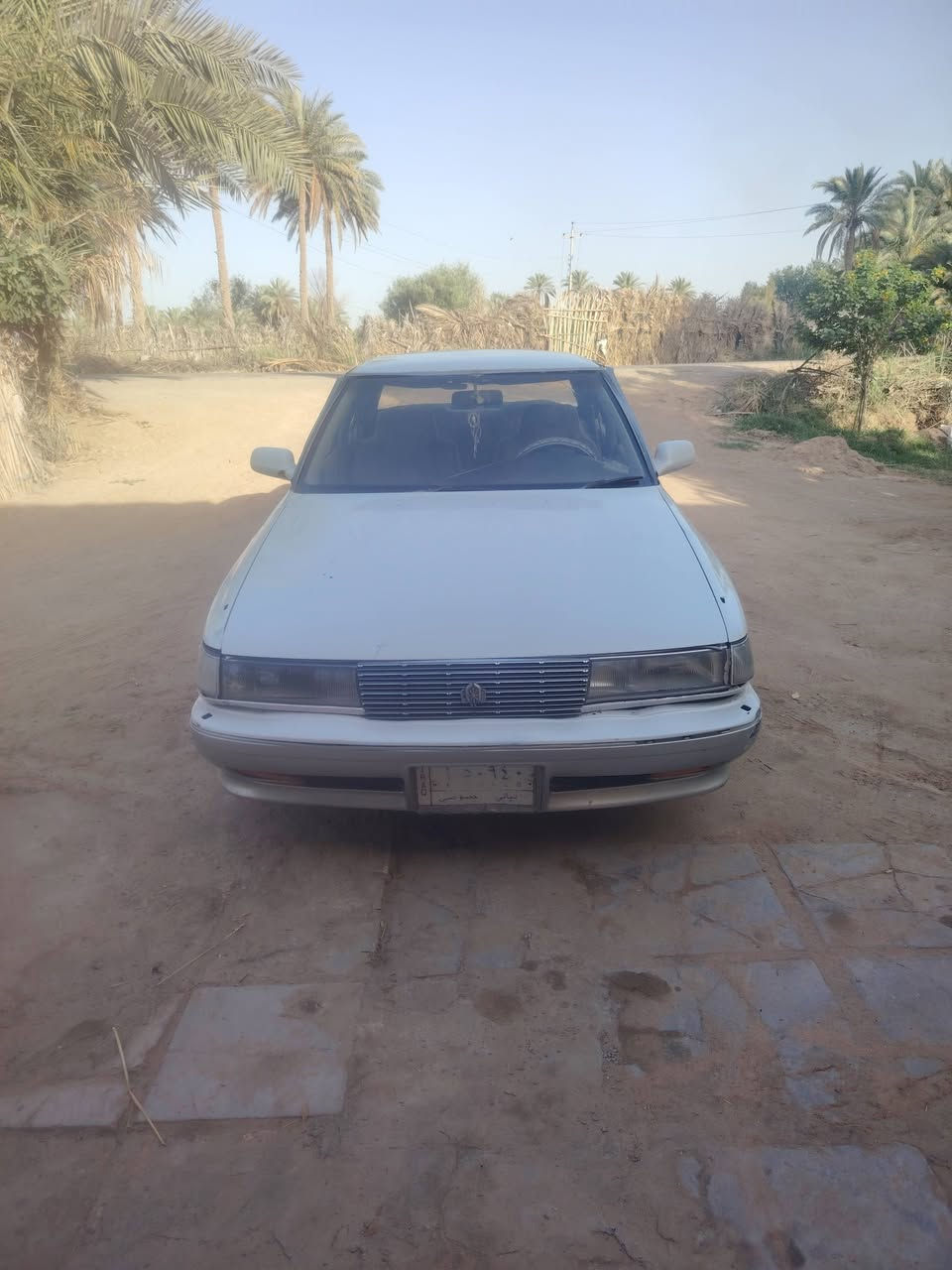 مارك 91بسمي صبغ عام جماليه لسعر 38وبيها مجال لمكان ديونيه شاميه كيرمكمه كفاله. ***********
