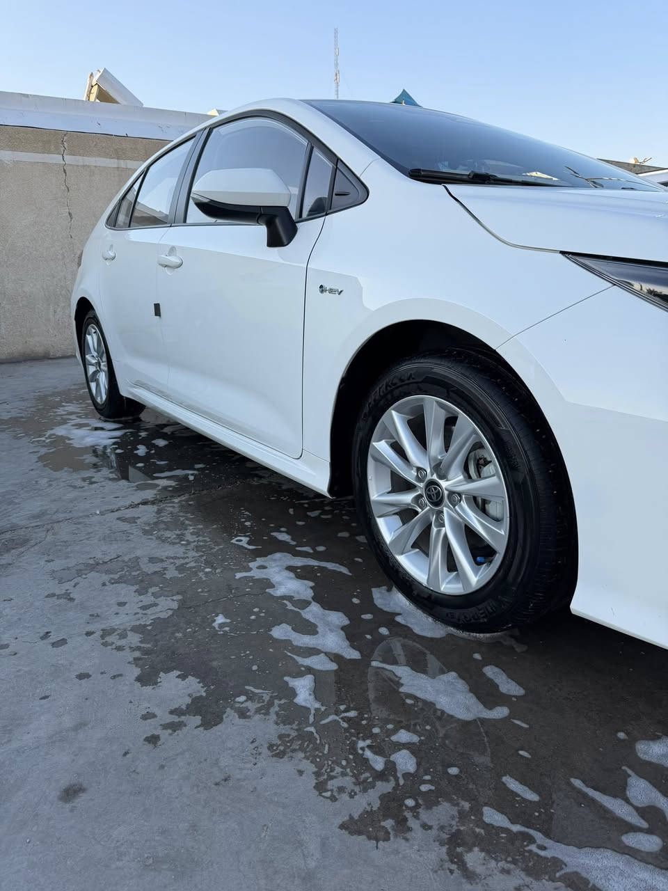 السلام عليكم
كورلا 2024
رقم بابل 
ماشية 8 
كفاله عامه من الشخط والرصعه والبارد 
مكانها بابل حله 

السعر 155 
***********
