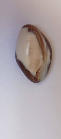 حجر داؤودي • سعر خاص