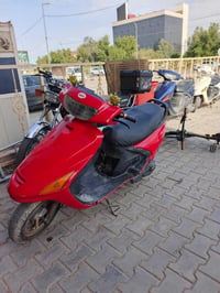 فراشة • النجف