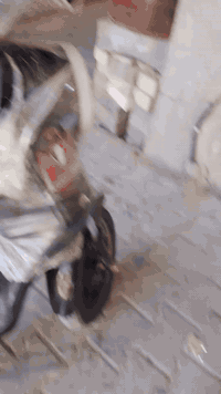 الدراجه للبيع 350وبيهه مجال
بطاريات جدد تفحص وشوف 
كهربائي كله شقاله افحص
بلوتوث بك كله جدد افحص
كفرات كله جدد بيه شخوط كم واحد
جاملق خلفي طاق بس مابي شئ قليل
الكيج كله شقاله دبل شاره جدد شقاله
العنوان المحموديه ناحيت الرشيد 
***********
