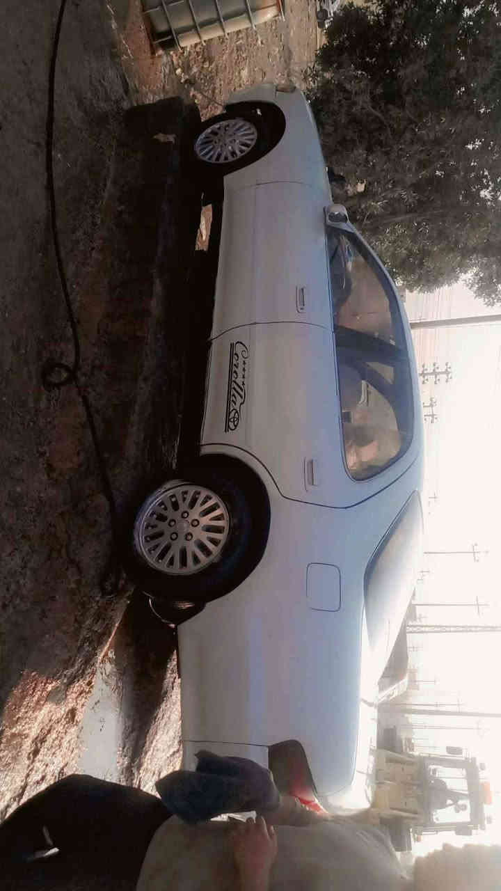 سلام عليكم كرسته كفاله من الكص والنقل جثه ومن الضربه موديل 93 حداديه توني مسويه تبريد ثلج شقال السعر 60وبيه مجال الاستفسار واتساب  *********** المكان ذي قار قلعه سكر
