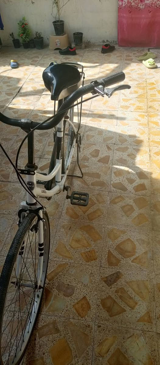 لبيع أو مراوس موديل 16


**إذا كنت صاحب هذا الإعلان وتريد حذفه لأي سبب، رجاءا أرسل رسالة إلى الدعم الفني**