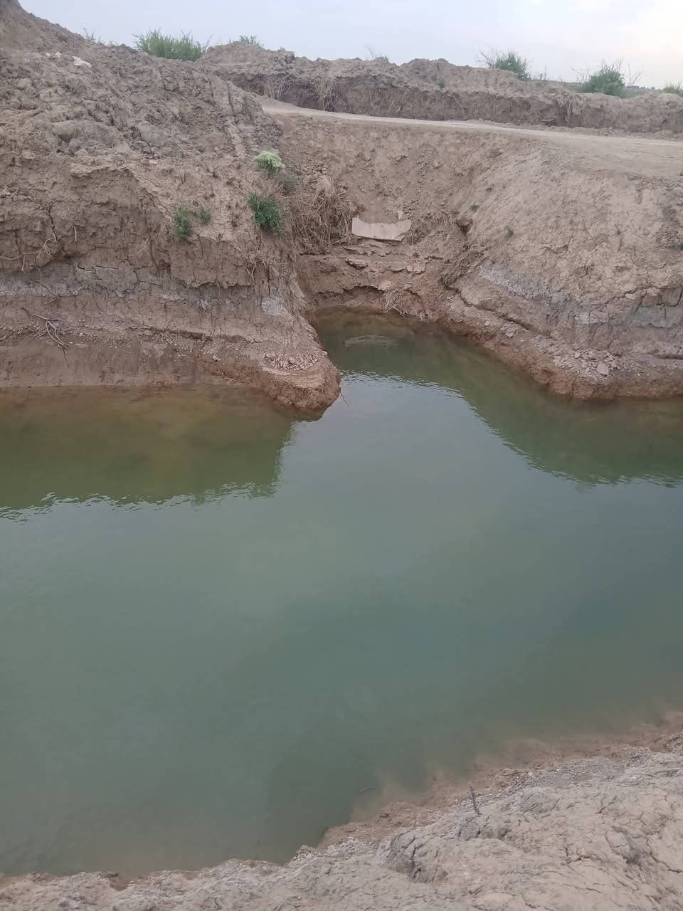 السلام عليكم
ارض للبيع لاصحاب الامكانيه القليله 
جايبلك 6 دوانم السعر 7 مليون قفل للدونم الواحد
ابد مابي خساره وخدماته ماء وكهرباء وطريق وواجهته مرتبه
تباع حسب الطلب جنس الارض طابو سند 25 فتح بيان بأسم المشتري العنوان تاجي سبع البور منطقة الشيخ عامر (منطقة العيساويه عبور الجسر الثاني منطقة سكنيه وزراعيه) عيش رفايهيتك وسعار مرتبه وحلوه وفرصه ذهبيه ما تضيع ان شاء الله تشتري ب 7 بعد كم شهر تبيعه ب 15 ووالله العضيم ابد ماكو خساره وكلام معروف انو العقار مابي خساره وهواي ناس اشترت بلشيخ عامر واطرافهه واتساب ‎0781 657 1615
