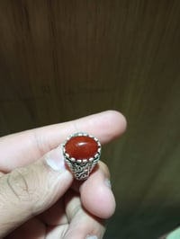 ابو الخصيب • كلشي للبيع • سعر شراي