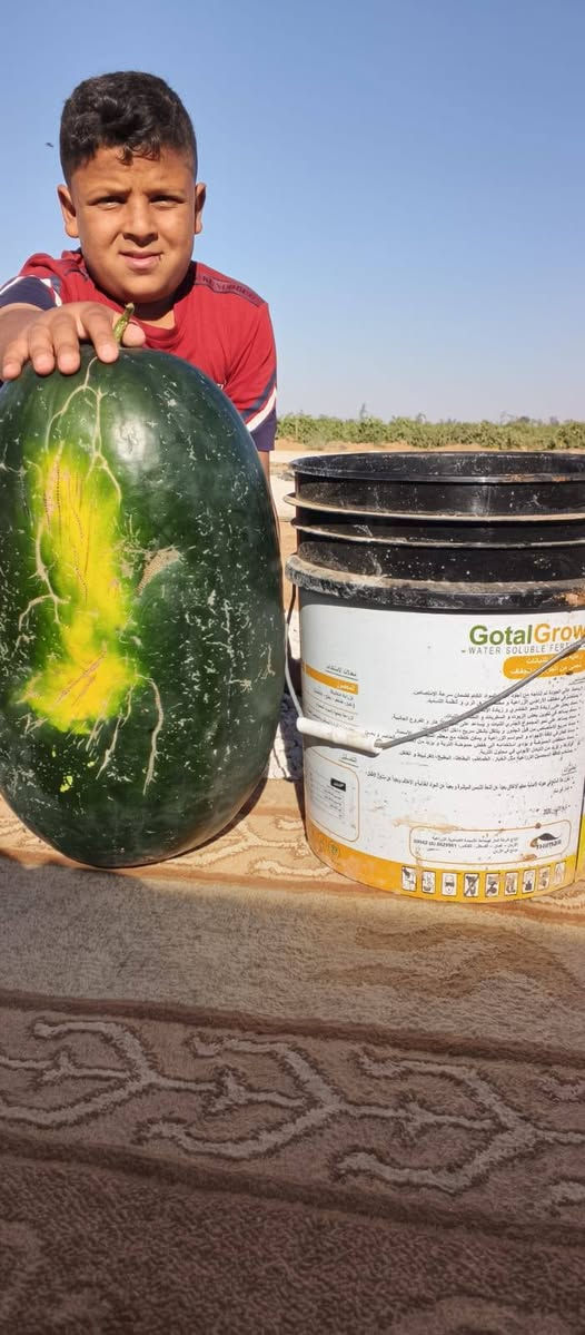 بسم الله وعلى بركة الله نبدأ
افتتاح بطيخ ناصر نخب اول🍉 

العدد من 40 لغاية 60🍉

الوزن من8الى18كيلو

مكسر وطعم كفاله 

للاستفسار :0779217050👑علي البري 

0779778071يوسف البري

0790614991احمد البري


**إذا كنت صاحب هذا الإعلان وتريد حذفه لأي سبب، رجاءا أرسل رسالة إلى الدعم الفني**