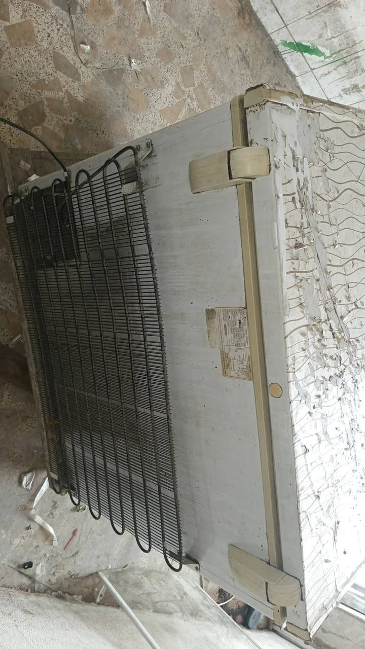 السلام عليكم مجمده نعوعيه Keynote نوعيه ممتازه شرط ضمان التجميد حجم وسط (سعر ١٢٥) وبيه مجال العنون (بغداد الحريه )رقم (***********)
