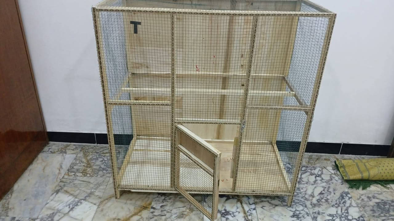 يالله
متاح 
قفص تفصال مرتب وحلو 
شغل عدل 
قياسات 
العرض103سم
الارتفاع 110سم
النزال50سم
مكاني بصره حي شرطه شارع السيد 
للتواصل وات ساب ***********
بسعر مناسب 30الف 
وشراي يدلل
