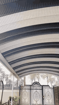 ماكس منغولي • بوشة ٤٩ • بابل البوعليان