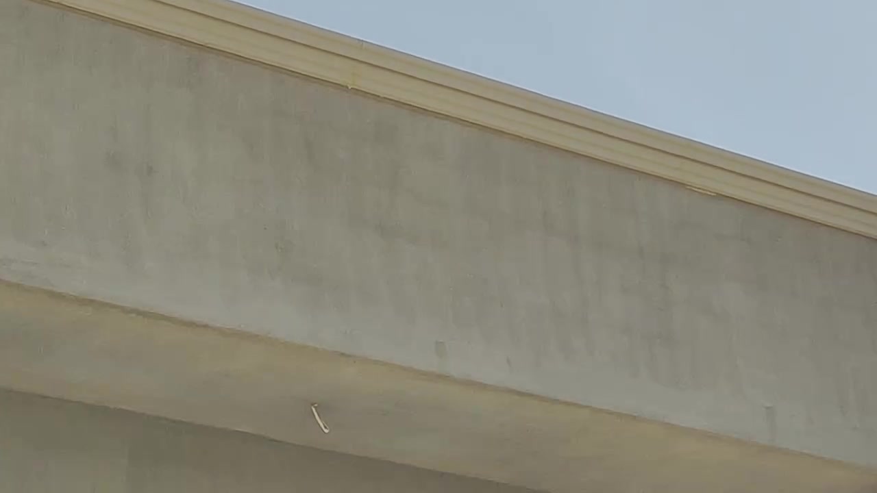 سلام عليكم ورحمه نموذج من الفوم الخارجي /*********** ومن الله التوفيق للجميع إن شاء الله
