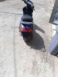 شغالة • بغداد