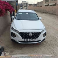 سنتافيا • ٢٠٢١ • رقم اربيل