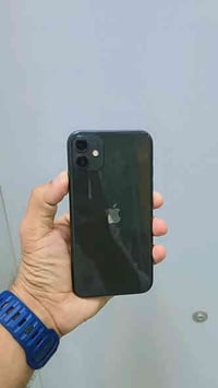 11 عادي مراوس او بيع 07813414546