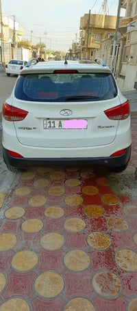 توسان خليجي • ٢٠١١ • بدون صبغ