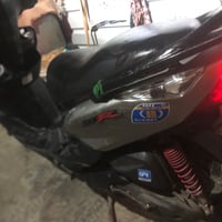 ثعلب 140 • فول • مرتبة