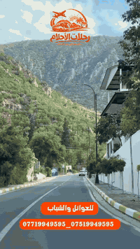 رحلات شتوية • حاج عمران • شامل الكوسترات