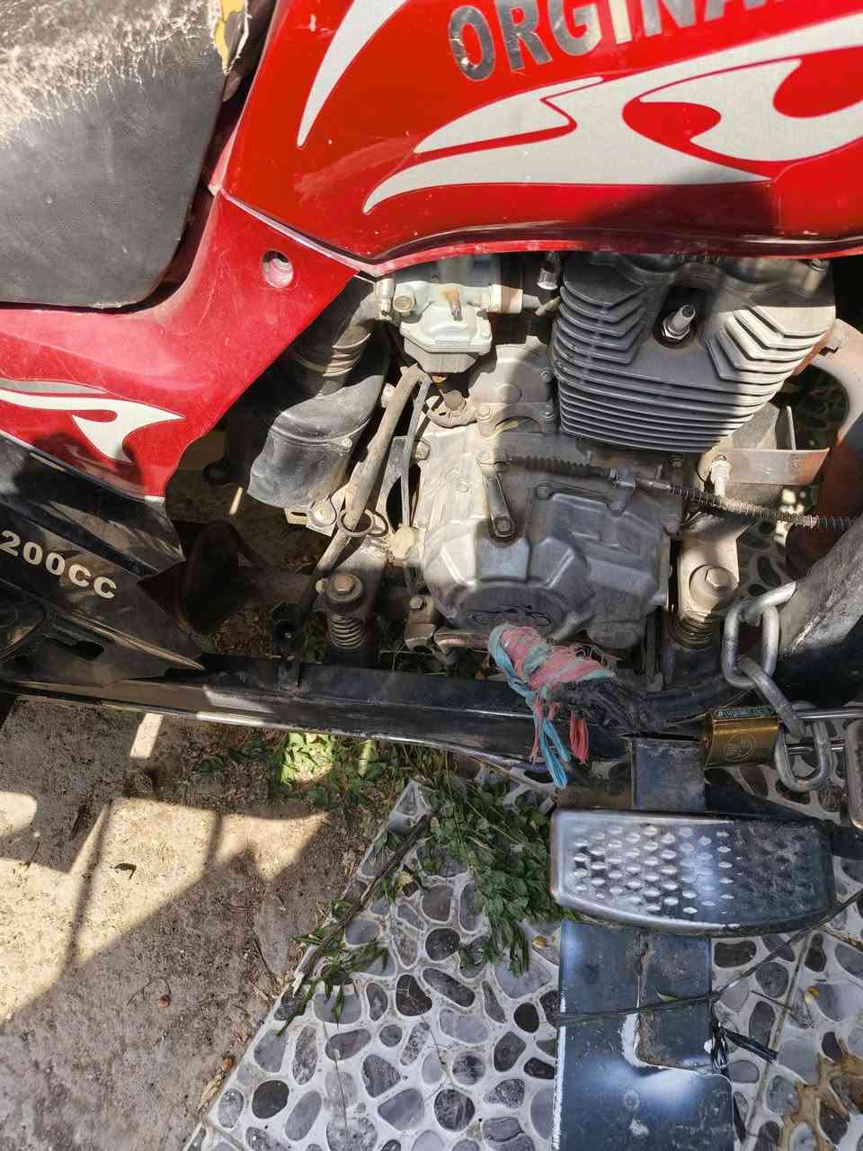 ستوته فحل للبيع مستعجل عل بيع اليريد يجي خاص


**إذا كنت صاحب هذا الإعلان وتريد حذفه لأي سبب، رجاءا أرسل رسالة إلى الدعم الفني**