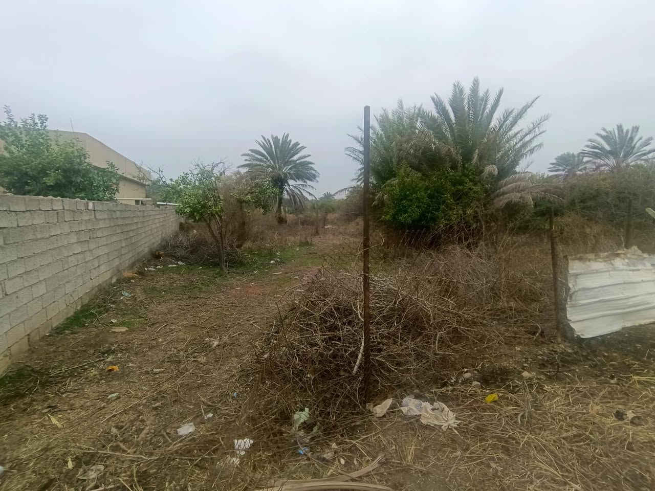 ياالله
البيع 1000متر في بغداد منطقه الراشديه

جنس العقاري سند ٢٥ تحويل بأسم المشتري يتوفر فيه جميع الخدمات ماء اساله وماء روئي وكهرباء ويوجد فيه نخيل وحمضيات للأستفسار اتصل على رقم او مراسلة سعر ٧٠بيه مجال ترهم ستثمار وه مزرعه متنفس الك ***********
