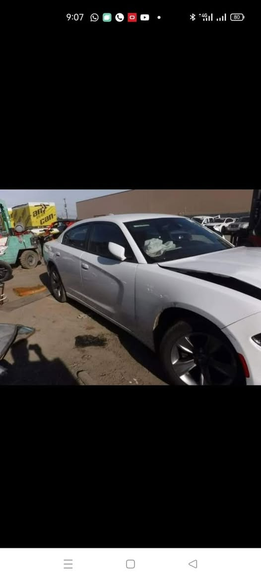 موديل 16
Sxt 
بدون اي قطعه تبديل 
البنيد نفسه مصلح ومصبوغ 
الدشبول مبدل بجديد 
بيها بارد شبر بلجاملغ الخلفي الايمن 
والباب الخلفي الايمن من جوه بنهايته 
رقمها سليمانيه باسمي  وشرط التحويل ومكانها بغداد 
سعرها 195 وبيها مجال بسيط 
للتواصل ***********
السياره بدون اي نقص وجواها تخم تاير جديد وادامه كامله بلكات ونوزلات وفيت بم كله جديد 
تشغل وتطلع ان شاء الله بدون اي مصرف
