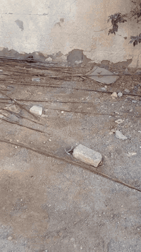 شيش للبيع نص طن اقل مستخدم سعر 250وبي مجال 07804791799