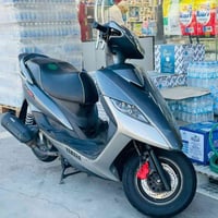 ثعلب • جديد ١٠ أيام • زوج زينون