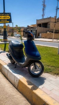 بطة 60 • ٢٠٠٣ • شاصي مكفول