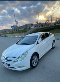 سوناتا • ٢٠١١ • رانية السليمانية