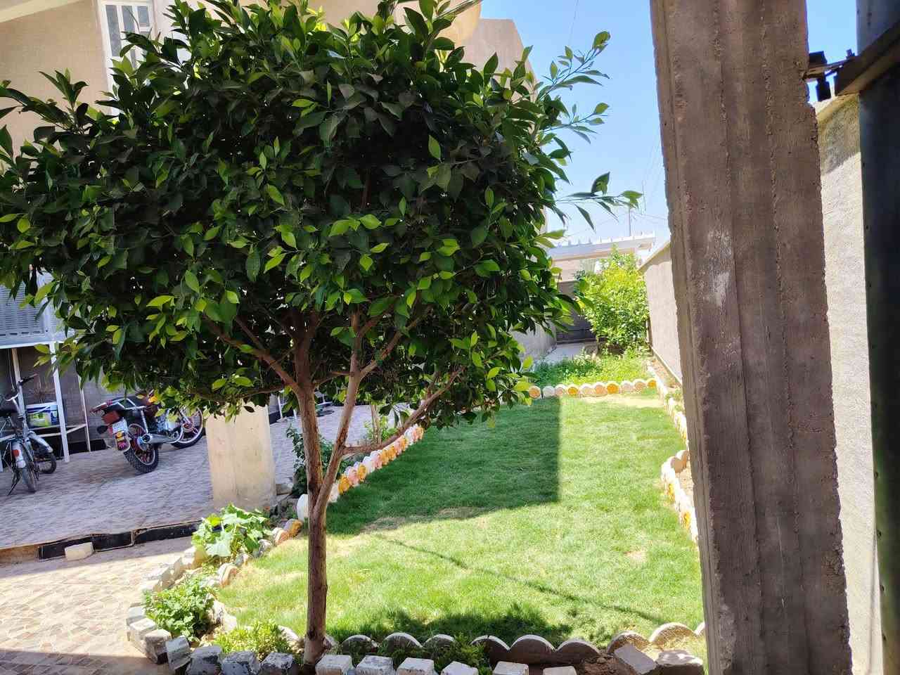 دار للبيع في حديثة حي المعلمين قرب مسجد المدينة المنورة مجمع الدوائر الحكومية ركن على شارعين
مساحة/٤٥٠ متر
الدار بناء حديث
يتكون الدار من :
الطابق الاول
مطبخ حار وبارد+مخزن
غرفتين نوم
وديوان
وهول
وصاله
وصحيات داخليه و خارجية
الطابق الثاني:
غرف نوم العدد ٣
وصحيات
ومخزن كبير
كل الدار مطبك سيراميك للاستفسار الاتصال على الرقم ***********
دار للبيع في حديثة حي المعلمين قرب مسجد المدينة المنورة مجمع الدوائر الحكومية ركن على شارعين
