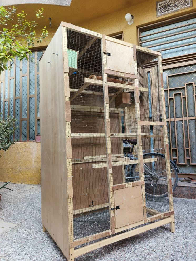 قفص جديد تسكام شغل درجه اولى الوجه جرار تنضيف 101 والارتفاع 180 والنزال 80 بي بيت ثكاتر غندور وبيت تكاثر طيور حب سعره 75 الف يابلاش مكان كربلاء الاستفسار *********** كربلاء, العراق
