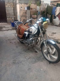 دراجة جني • ٢٠١٠ • أوراق كاملة