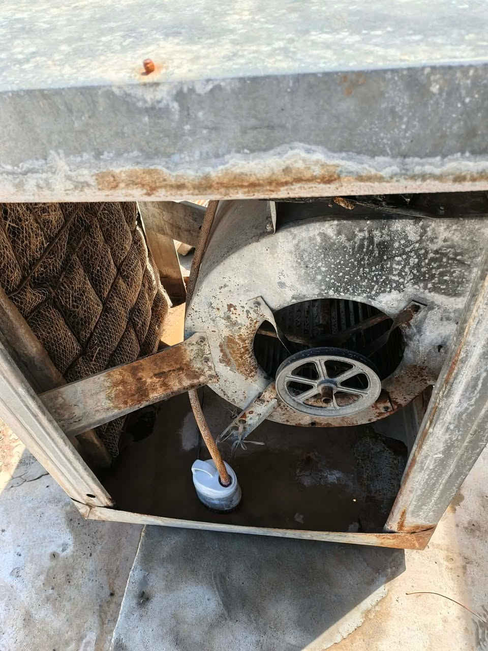 مندوبة مبيعات اغراض اش عدكم غراض دزولي خاص ابيعهم باسرع وقت


**إذا كنت صاحب هذا الإعلان وتريد حذفه لأي سبب، رجاءا أرسل رسالة إلى الدعم الفني**