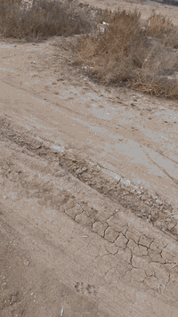 السلام عليكم نص قطعه بداية الضباط رقم القطعه ٧٠٠٢ السند بسمي مساحه ١٢٥ للبيع السعر ٧٨رقم الهاتف ***********
