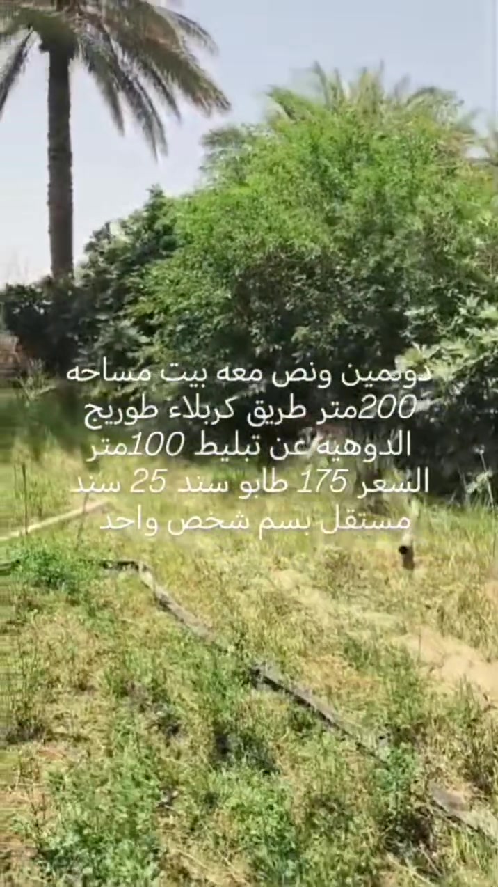 يا الله سلام عليكم دونمين ونص طريق طويريج كربلاء الدويهيه قرب الجامع عن التبليط 100 متر السعر 175 طاب سند 25 معه بيت 200متر التصال ***********
