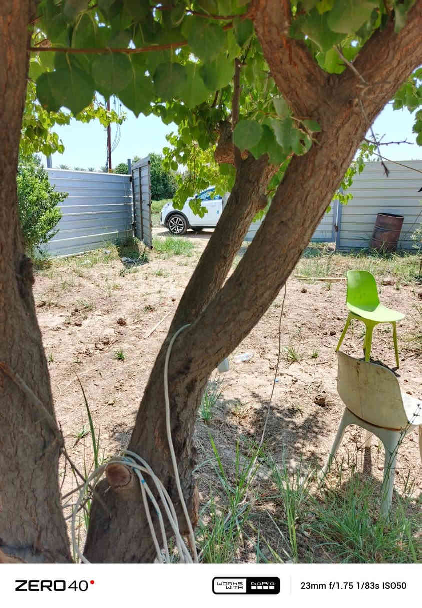 السلام عليكم  الف متر للبيع  السعر 55 وبيها مجال العنوان بغدادالراشديه  الاتصال على الرقم ***********
