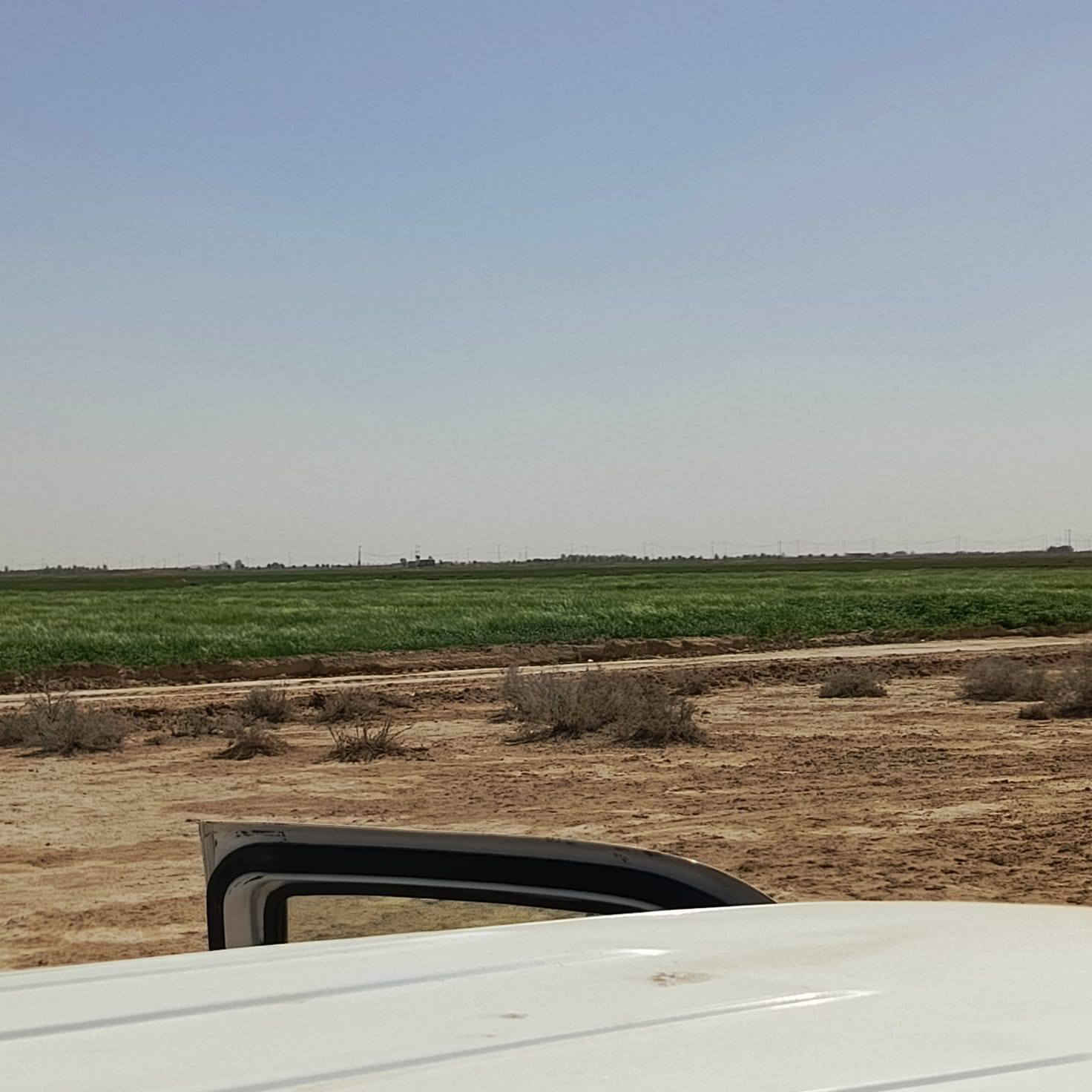 م عليكم  ارض زراعيه للبيع المساحه 500دونم  العقد مجدد لل28 أو لمحوله بصدر الكاع الكهرباء اصوليه ميه بل ميه من قبل الدولة الأرض تنباع من مساحه حسب  بكيفك شكد تريد من ميه دونم  للخمسميه دونم العنوان النجف العزيه شارع البحيرات
مكلف بلنشر رقم صاحب الأرض ***********
غير متواجد على فيس
