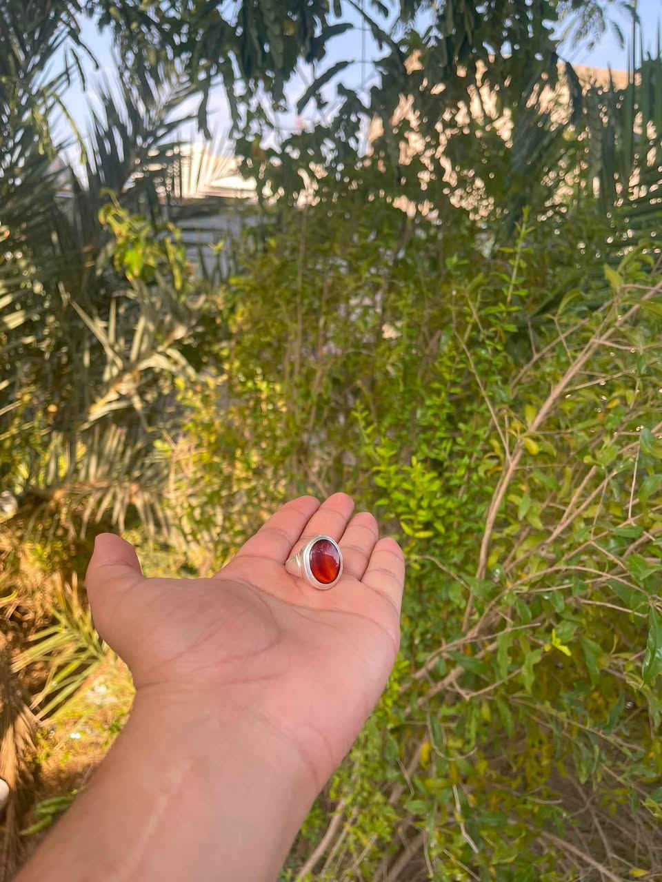 يا الله سلام عليكم
محبس يماني صياغه بحرينيه ثقيل قياس 23 22  حيل مرتب وملموم
يوجد توصل جميع المحافظات 
للأستفسار على هذا الرقم ***********

