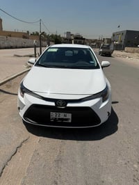 كورلا • ٢٠٢٤ • رقم اربيل