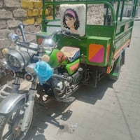 ستوته للبيع مكلف بلنشر 07878943991 رقم راعيه