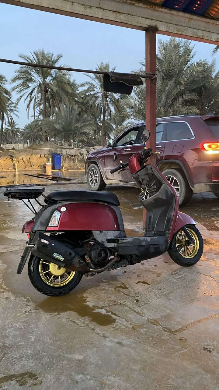 مكلف بلنشر 
بوليس 49 بلادي مكفوله من كلشي
بيه وياله ويدات ونواعم ncy
بيه وصل معرض 
سعر 775 وبيه مجال
راعي الدراجه Moumal Sattar


**إذا كنت صاحب هذا الإعلان وتريد حذفه لأي سبب، رجاءا أرسل رسالة إلى الدعم الفني**